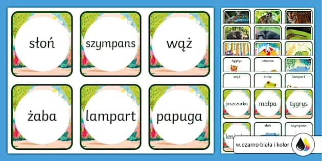 Nauka rozpoznawania programów TV: dopasuj nazwy do opisów