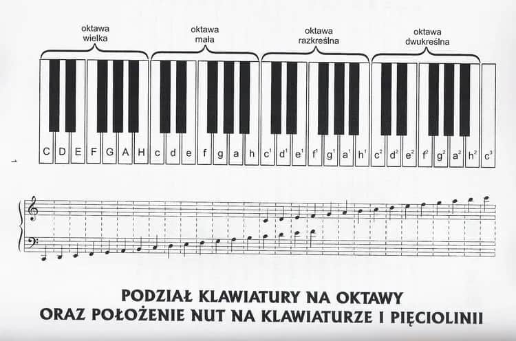 Tabela częstotliwości dźwięków: klucz do harmonii muzycznej