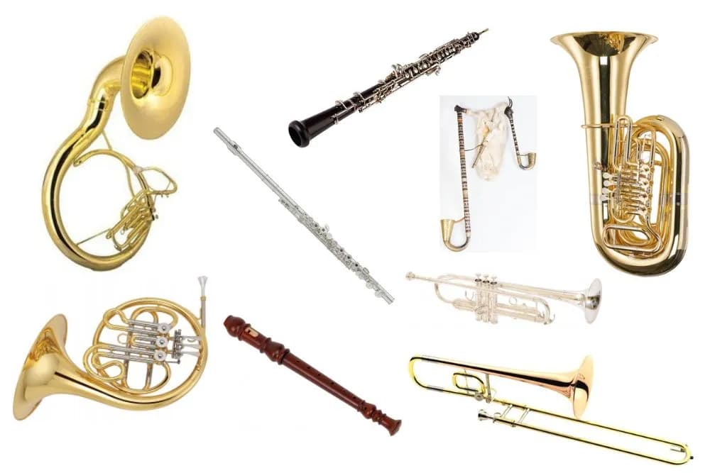 Czy organy są instrumentem dętym? Odkryj ich fascynującą klasyfikację