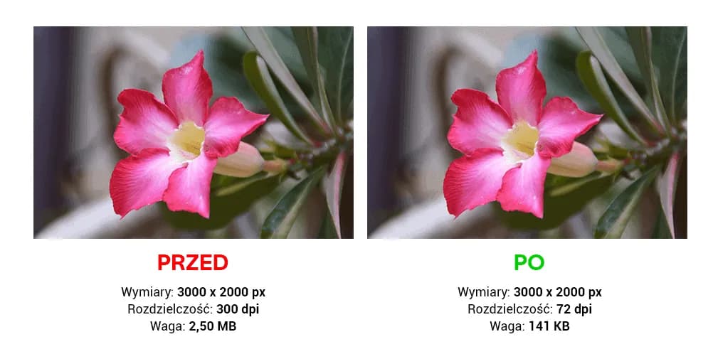 Poznaj czym jest kompresja i jak wykorzystać ją do przyspieszenia swoich plików